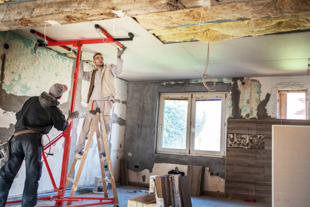 Best Home Insulation Services  in Rose, LA