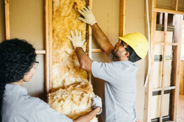 Best Spray Foam Insulation  in Rose, LA