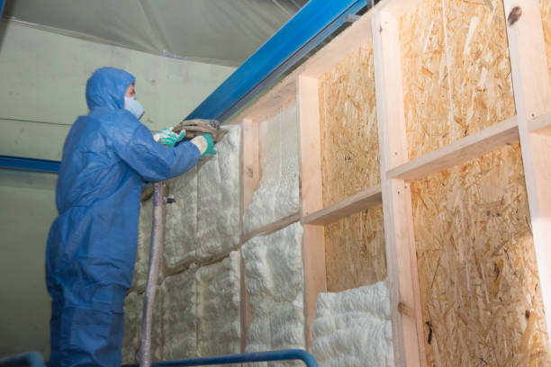 Best Insulation Replacement Services  in Rose, LA